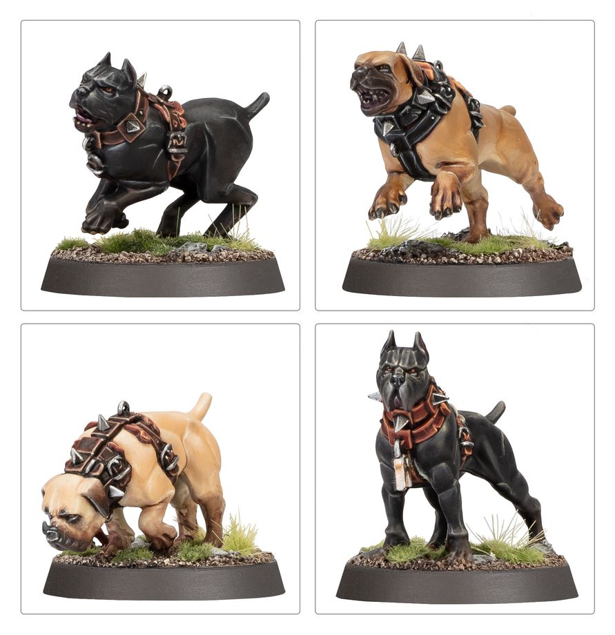 Regiment of Renown: Cities of Sigmar: Ven Denst's Hounds